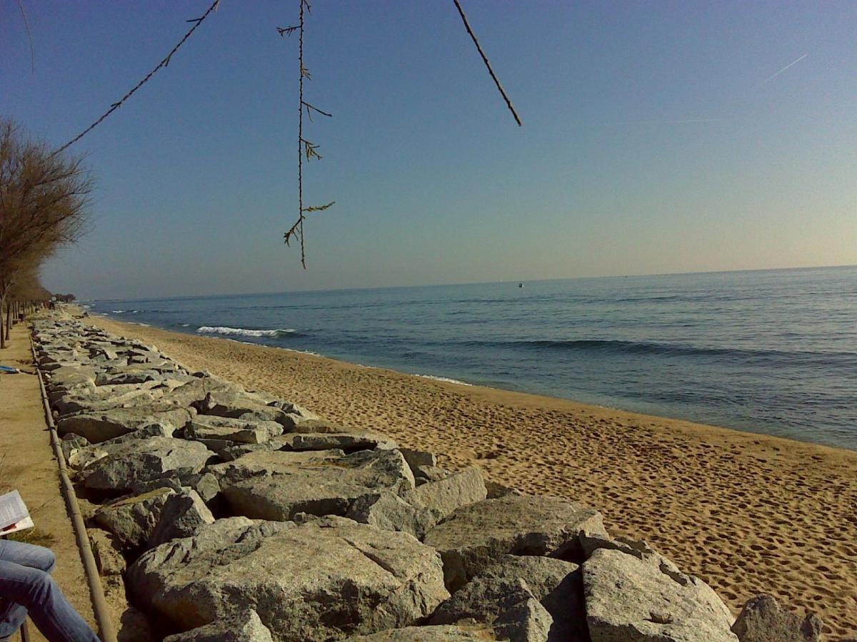 Tata's House, Junto Playa Y Barcelona Centro Apartment Masnou